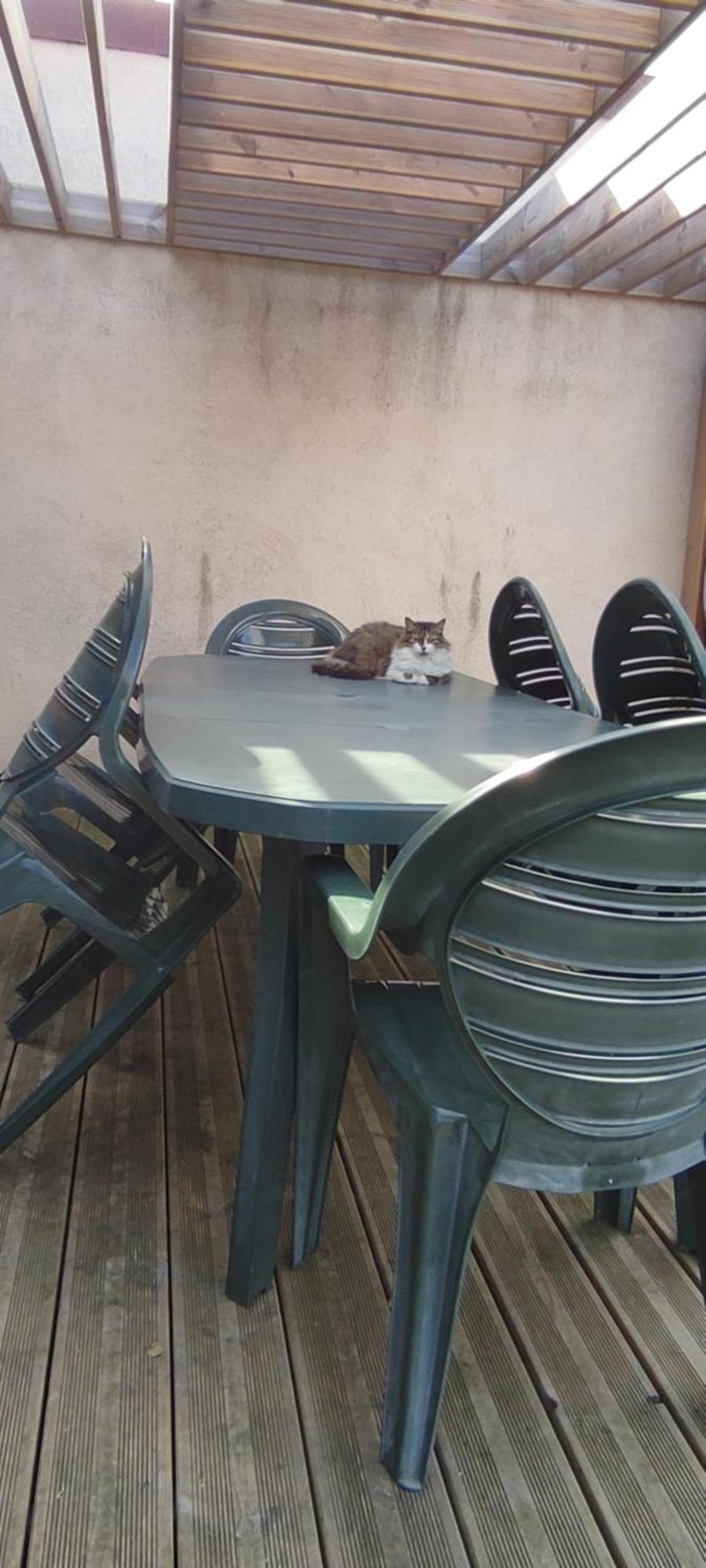 BERCK Maison de vacances avec terrasse et jardin, Extérieur photo